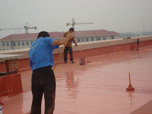 丙烯酸、聚氨酯、聚脲、JS防水涂料哪种防水最好？