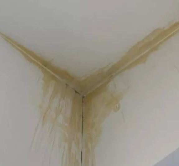 防水没做好，几十万的装修全白搞！