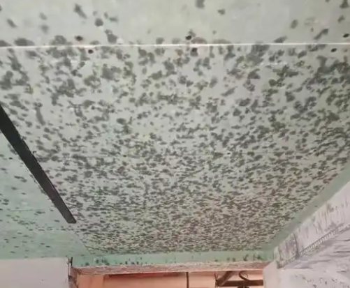 别墅地下室防潮指南：与水汽斗智斗勇的奇幻之旅